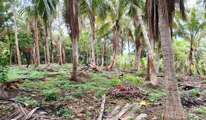 Jual Cepat Tanah Murah Lokasi Srategis di Karimun Jawa  2