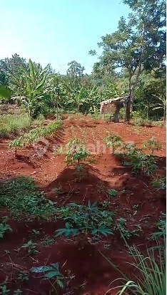 Dijual Tanah di Jl. Kawasan BSB, Semarang 2