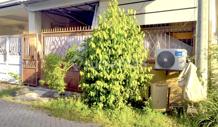Rumah Di Sukolilo Keputih Murah Shm Nego Dekat Its Unair  2