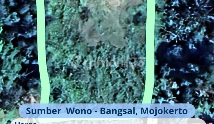 Tanah di Sumber Wono - Mojokerto DIJUAL SHM siap bangun Tanah di Sumber Wono - Mojokerto DIJUAL SHM siap bangun