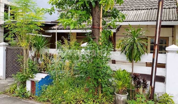 House in Rungkut Tengah 1 Floor Near UPN Available for Rent Cheap Negotiable 2