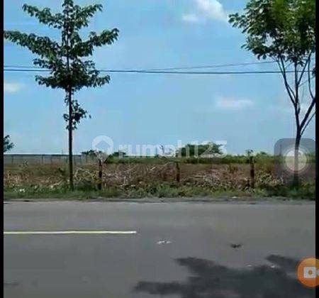 Tanah di Tuban Kec. Widang Zona Industri Cocok Untuk Gudang 1