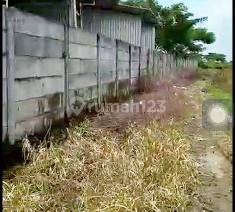 Tanah di Tuban Kec. Widang Zona Industri Cocok Untuk Gudang 2