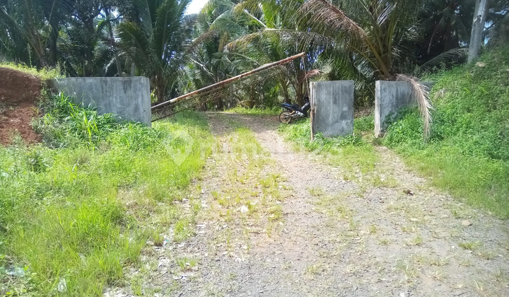 Tanah Di Lampung Selatan Desa Sukajaya 1