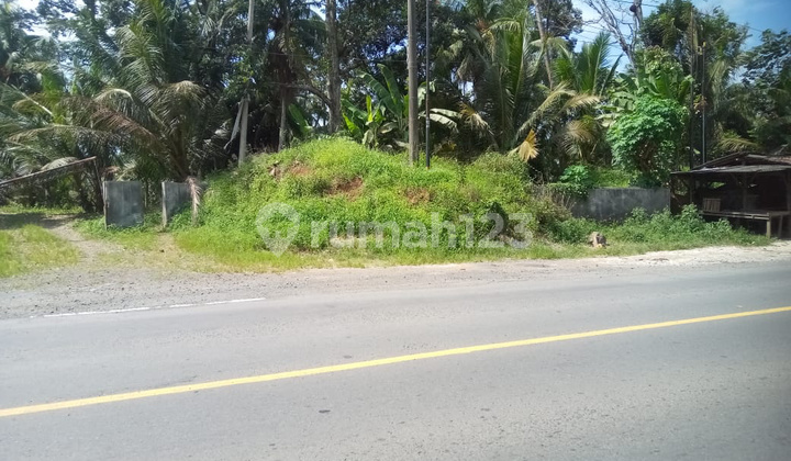 Tanah Di Lampung Selatan Desa Sukajaya 3