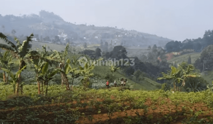 Tanah Kavling Dago Pakar Atas Ciburial Cimenyan Bandung 2