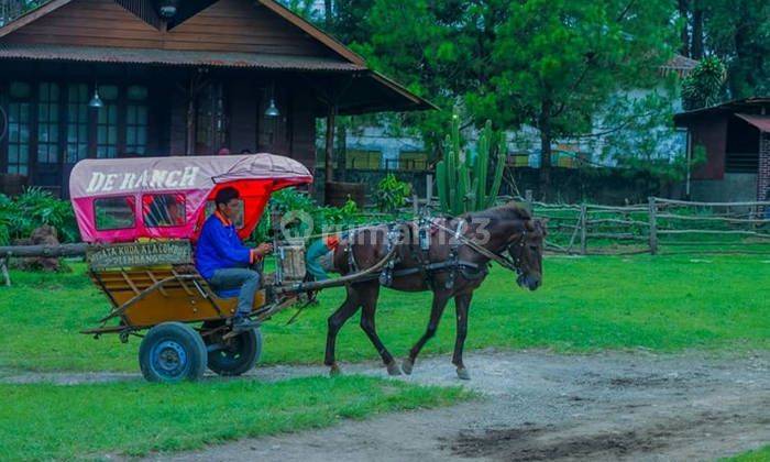 Tanah Luas di Lembang Kota , Jl Maribaya Ex Destinasi Wisata Dijual 2