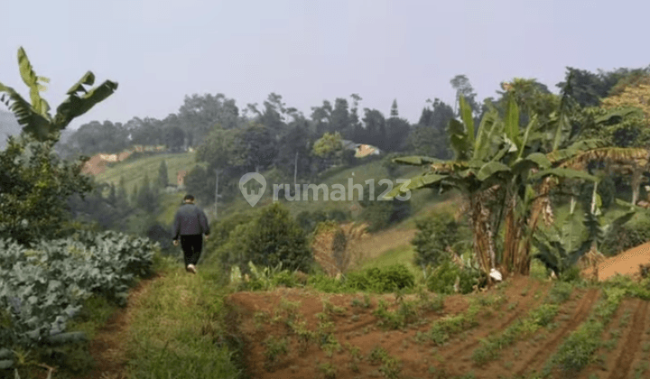 Tanah Kavling Dago Pakar Atas Ciburial Cimenyan Bandung 1