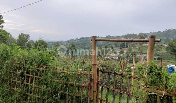 Ready-to-build solid land in Langensari Mekarwangi, Lembang, West Bandung.