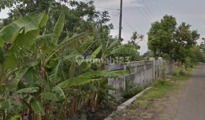 Dijual Tanah Ada Rumah Gudang di Desa Kutorejo, Mojokerto 1