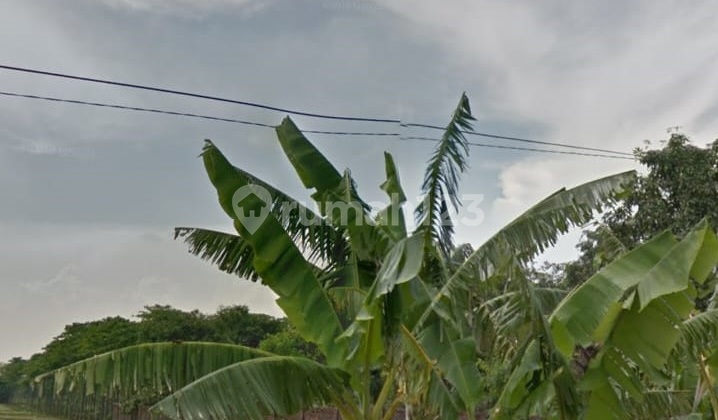 Dijual Tanah Ada Rumah Gudang di Desa Kutorejo, Mojokerto 4