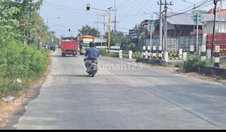 Jual Tanah Di Tulangan Sidoarjo Harga Per Meter Terbaru