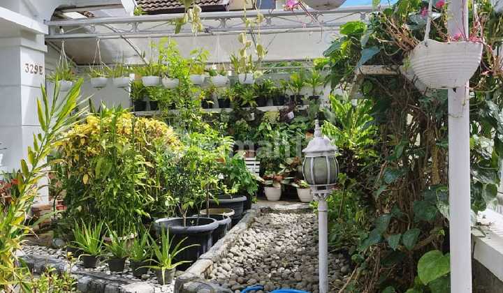 Comfortable and Green House in Setiabudi Regency 2