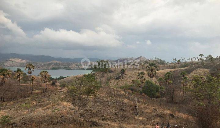 DIJUAL TANAH UNTUK HOTEL DI LABUAN BAJO NTT 2