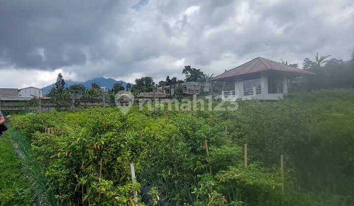 Disewakan Tanah di Mainroad Jl. Kol. Masturi, Lembang Disewakan Tanah di Mainroad Jl. Kol. Masturi, Lembang