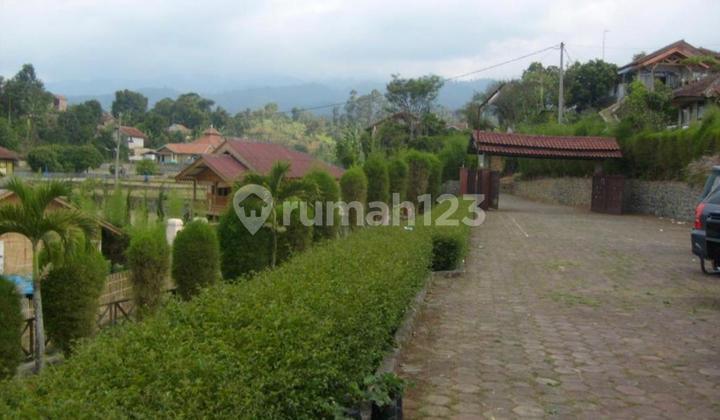 Dijual Villa Luas Sejuk Asri Di Ciwidey Dijual Villa Luas Sejuk Asri Di Ciwidey