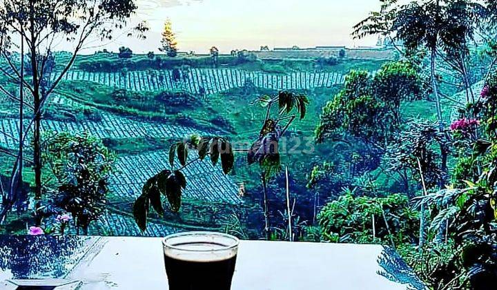 Dijual Ruang Usaha Cafe + Kebun Lembang Bandung 2