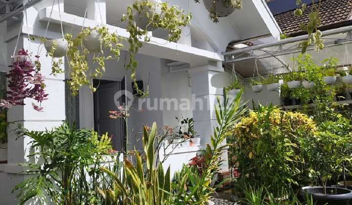 Rumah Nyaman dan Asri di Setiabudi Regency Rumah Nyaman dan Asri di Setiabudi Regency