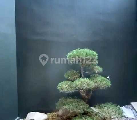 Rumah Baru Siap Huni Furnished Arcamanik 2