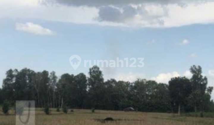 Parigimulya Village, Cipunagara Subdistrict, Subang Regency