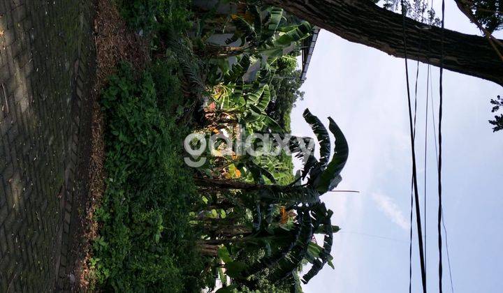 Tanah Dekat Kampus cocok untuk kostan dan rumah tinggal 2