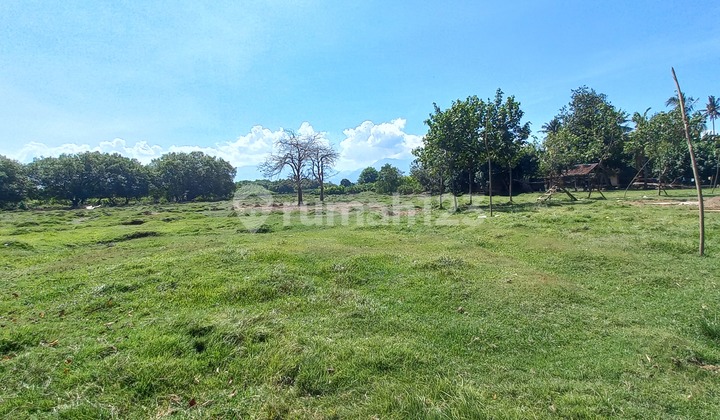 Dijual 1 Bidang Tanah - Kabupaten Jembrana Dijual 1 Bidang Tanah - Kabupaten Jembrana