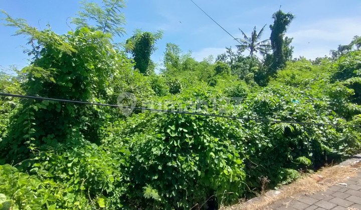 For Sale 2 Plots of Land - Gianyar Regency For Sale 2 Plots of Land - Gianyar Regency