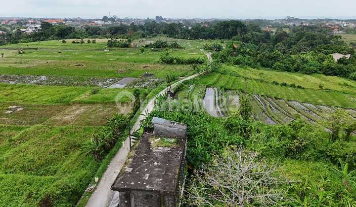 LAND FOR SALE IN BUWIT TABANAN