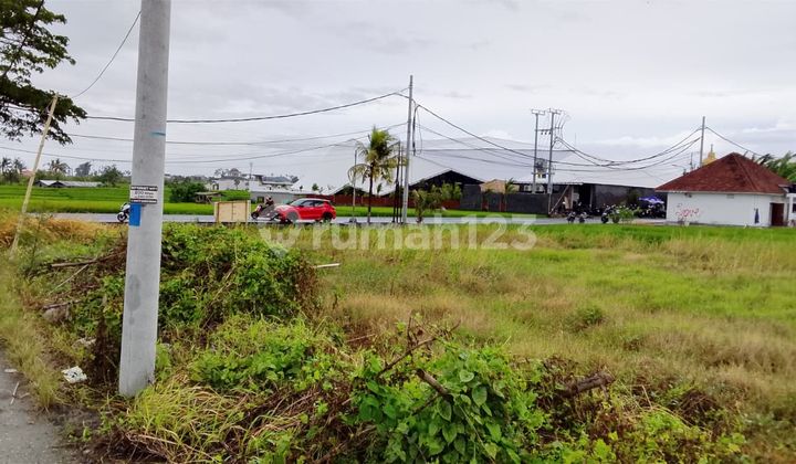 Dijual Tanah Leasehold 1.500 M² - Badung