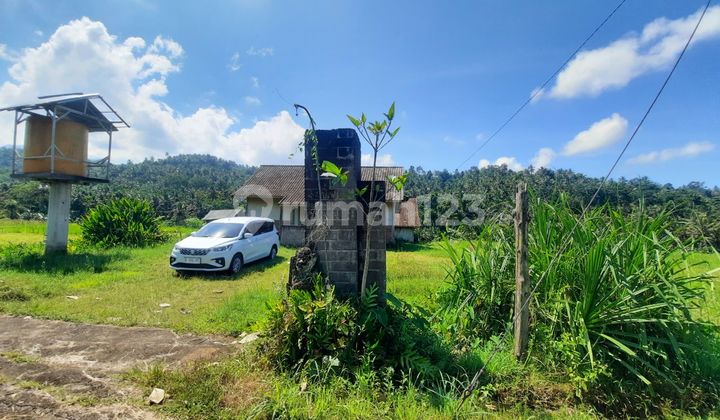 For Sale 1 Plot of Land & Building - Jembrana Regency For Sale 1 Plot of Land & Building - Jembrana Regency