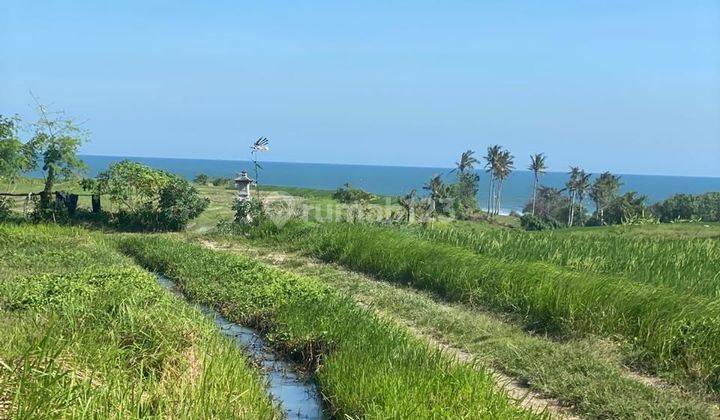 DIJUAL TANAH VIEW PANTAI DAN RICEFIELD DI BERABAN, TABANAN 1