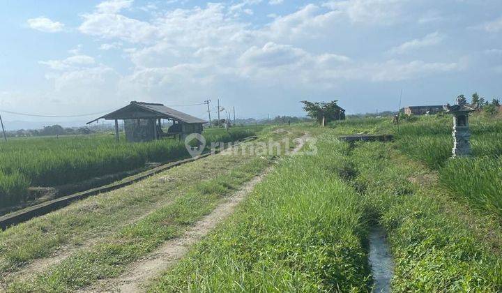 DIJUAL TANAH VIEW PANTAI DAN RICEFIELD DI BERABAN, TABANAN 2