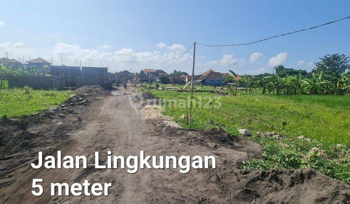 20 are land for rent on Jalan Raya Babakan, Canggu 2