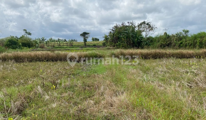 Dijual 3 Bidang Tanah - Kabupaten Gianyar