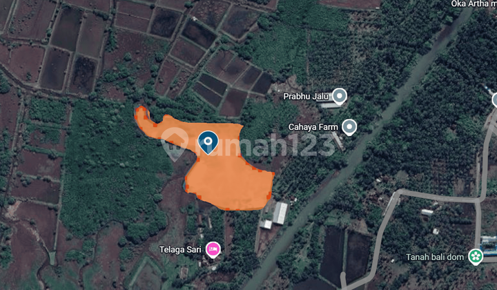 Dijual 1 Bidang Tanah - Kabupaten Jembrana Dijual 1 Bidang Tanah - Kabupaten Jembrana