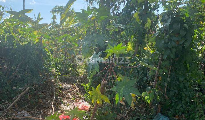 For Rent Land 977 m² on Jalan Baypass Ngurah Rai Kuta
 2