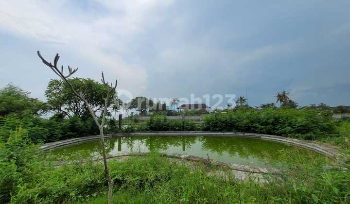 DIJUAL TANAH BEACH FRONT DI MASCETI GIANYAR DIJUAL TANAH BEACH FRONT DI MASCETI GIANYAR