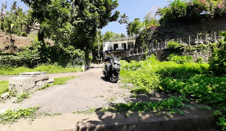 Dijual 2 Bidang Tanah - Kabupaten Gianyar