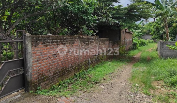 Dijual Tanah dan Bangunan Luas 1.835 M² di Kabupaten Buleleng