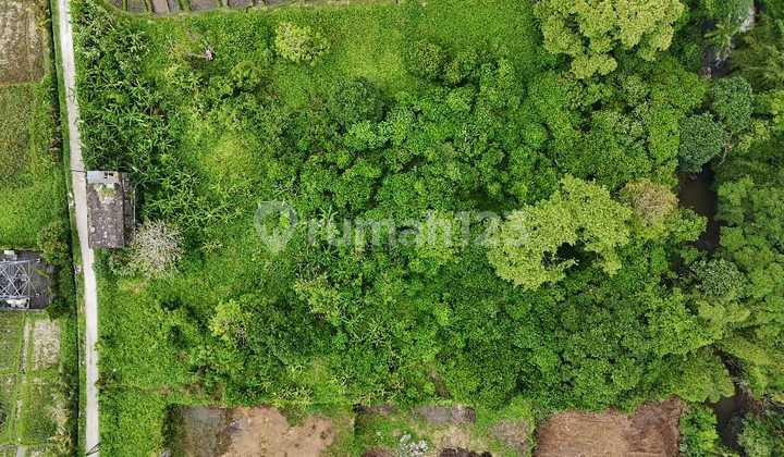 LAND FOR SALE IN BUWIT TABANAN