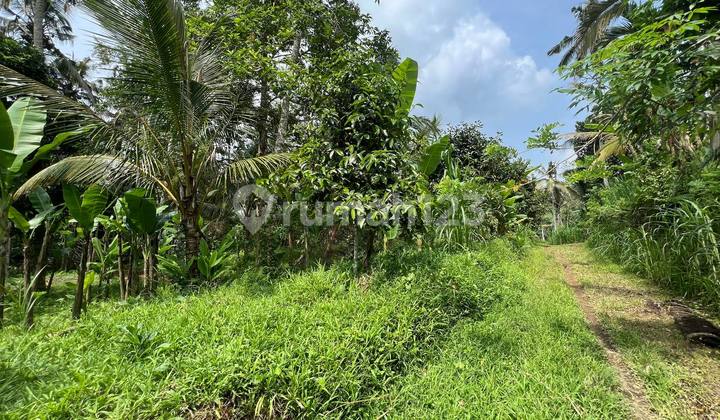 Dijual 1 Bidang Tanah - Kabupaten Gianyar