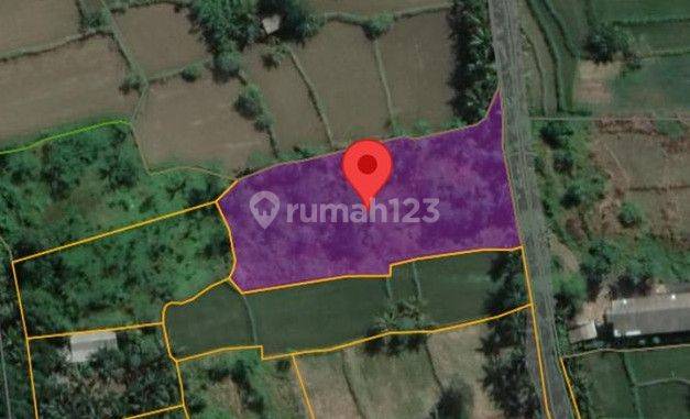 Dijual Tanah di Desa Tusan, Klungkung – Cocok untuk Villa 1