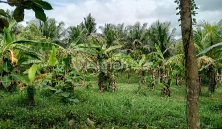 For Sale 1 Plot of Land - Tabanan Regency