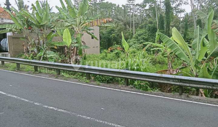 For Sale 1 Plot of Land - Tabanan Regency