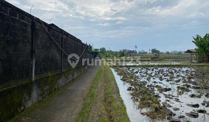 Land for Sale in Ketewel, Sukawati, Gianyar – Suitable for Villa Land for Sale in Ketewel, Sukawati, Gianyar – Suitable for Villa