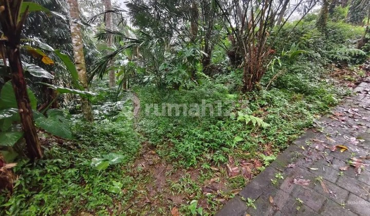 Dijual Tanah Luas 9.950 M2 Petang Badung Dijual Tanah Luas 9.950 M2 Petang Badung