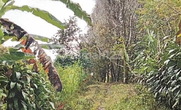 For Sale 1 Plot of Land Area 1,900 M2 in Buleleng Regency