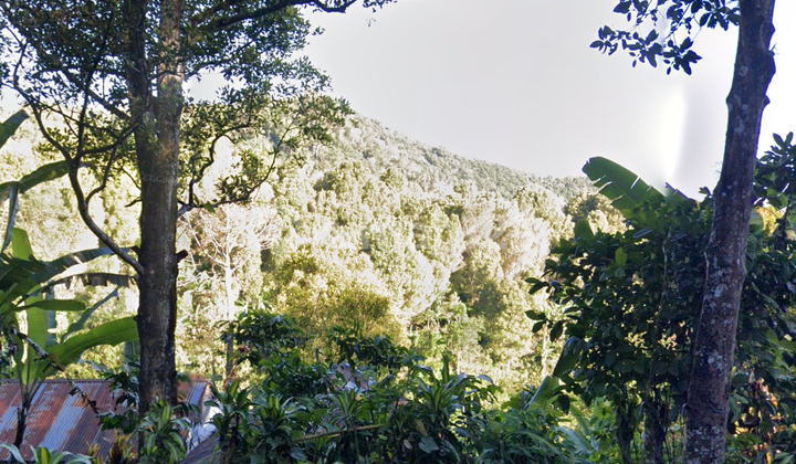 For Sale 1 Plot of Land with Total Area 4375 M2 - Buleleng For Sale 1 Plot of Land with Total Area 4375 M2 - Buleleng