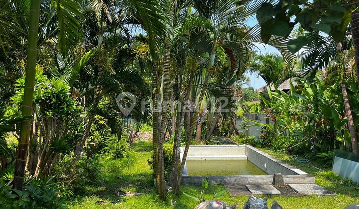 Land for Rent - Strategic Location Canggu Land for Rent - Strategic Location Canggu