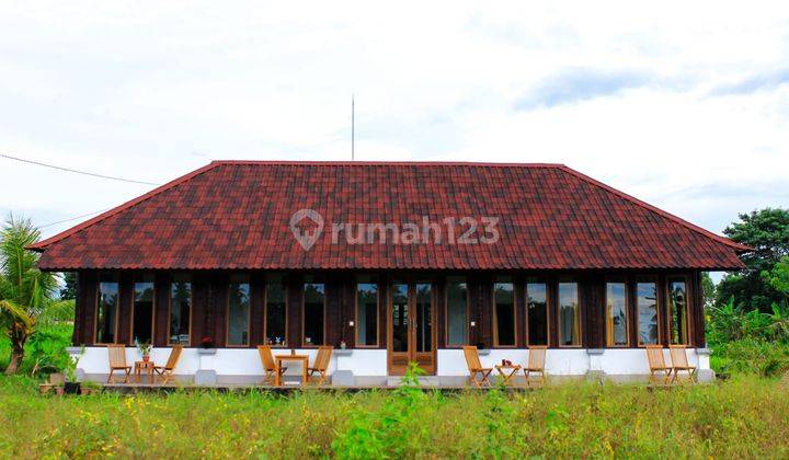 Bungalow Tengah Sawah. 1